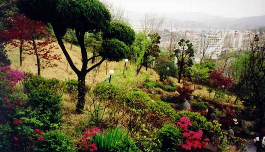 Korean Scenery